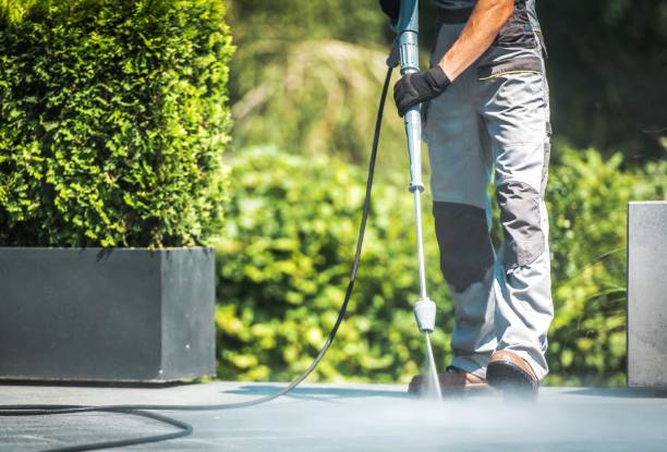 Best Boat and Dock Cleaning  in Unadilla, GA